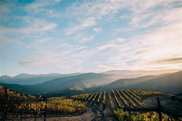 Holman Ranch (10/26/2021 - Credits: Wine Club & Marketing Manager)