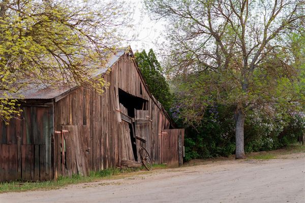 Rankin Ranch - California Cattle & Guest Ranch (2/5/2025 11:00:40 AM - Credits: submitted by:)