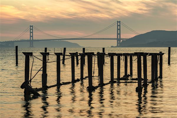 Angel Island State Park (SP) (12/10/2024 - Credits: Brian Baer)