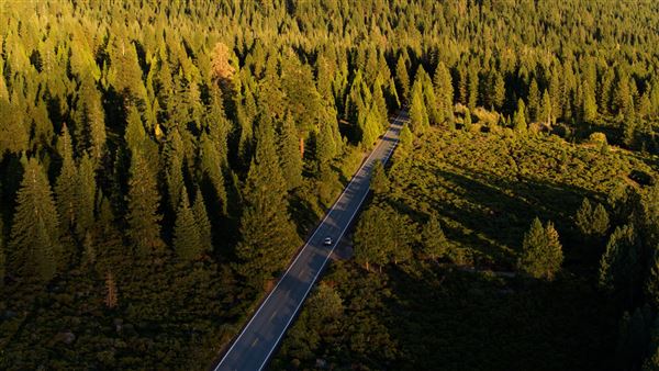 Everitt Memorial Highway (2/20/2025 - Credits: Film Siskiyou)