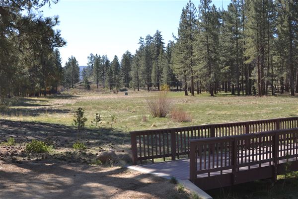 Camp Whittle (3/3/2025 - Credits: CS Team Member)
