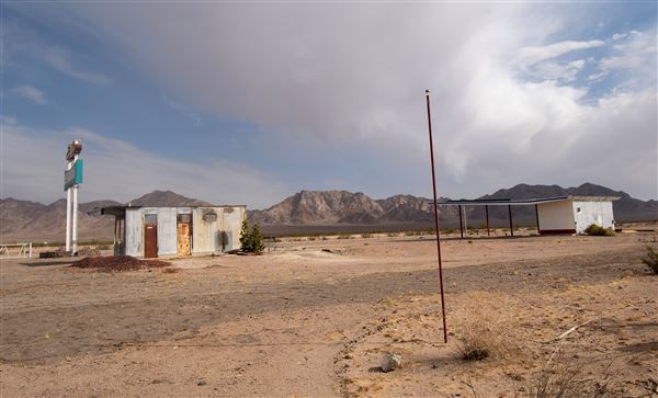 Road Runner's Retreat (3/4/2025 - Credits: Ken Lee and Beth Murray)