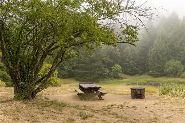 Austin Creek State Recreation Area (SRA) (5/26/2015 - Credits: Brian Baer)