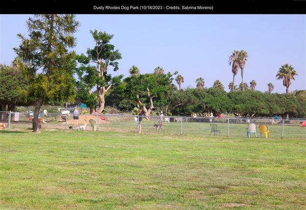 Dusty Rhodes Dog Park (10/18/2023 - Credits: Sabrina Moreno)