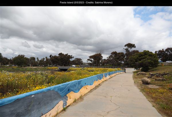 Fiesta Island (5/5/2023 - Credits: Sabrina Moreno)