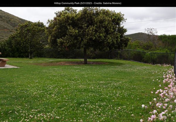 Hilltop Community Park (5/31/2023 - Credits: Sabrina Moreno)