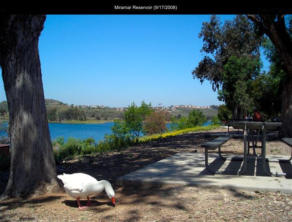 Miramar Reservoir (9/17/2008 - Credits: San Diego Film Commision)