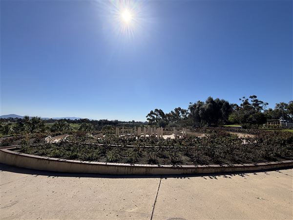 Balboa Park (3/8/2025 - Credits: Brandy Davis)