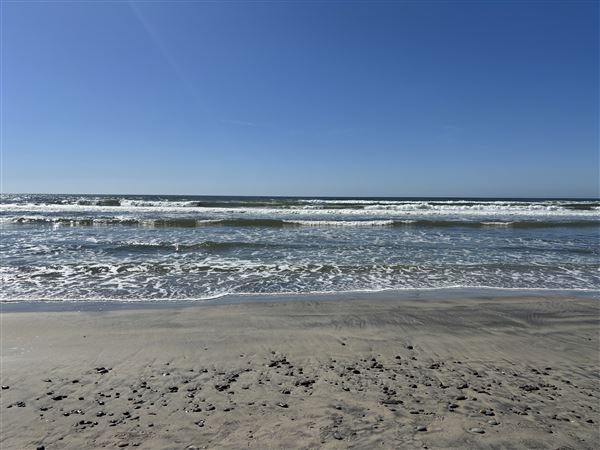 Torrey Pines State Beach (SB) (3/8/2025 - Credits: Brandy Davis)