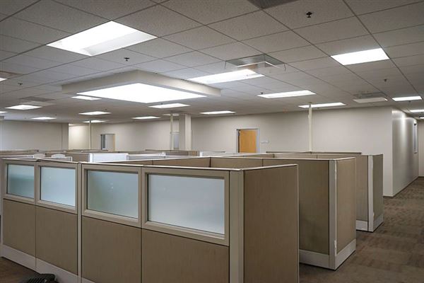 Lemon Labs (12/12/2023 - Credits: David Merabi)