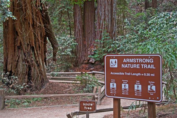 Armstrong Redwoods State Natural Reserve (SNR) (4/17/2025 - Credits: Al Mueller)