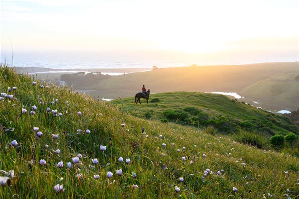 Bodega Bay (4/18/2025 - Credits: Photo Courtesy of Sonoma County)