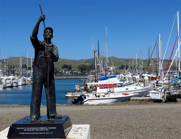 Bodega Bay (4/18/2025 - Credits: Photo Courtesy of Sonoma County)