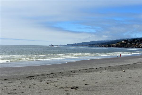Gualala Point Regional Park (4/21/2025 - Credits: Photo Courtesy of Sonoma County)