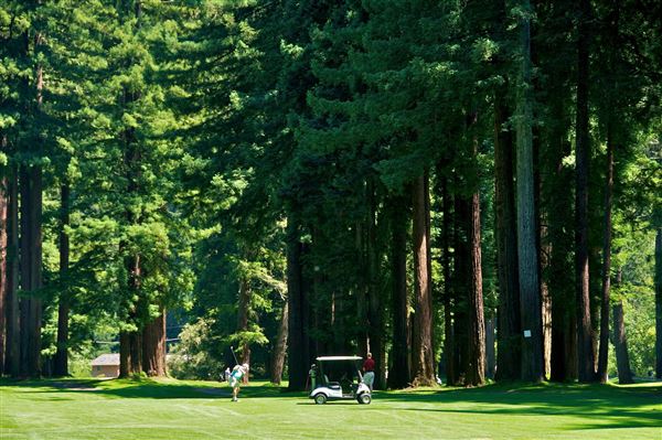 Northwood Golf Club (4/22/2025 - Credits: Photo Courtesy of Sonoma County)