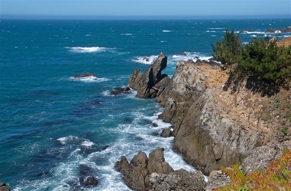 Salt Point State Park (SP) (4/23/2025 - Credits: Al Mueller)