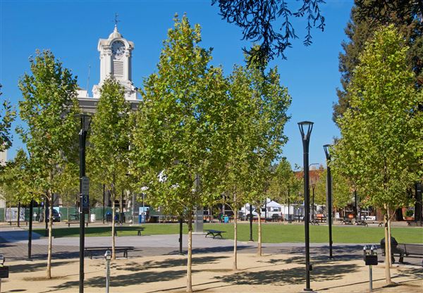 City of Santa Rosa - Courthouse Square (4/23/2025 - Credits: Al Mueller)