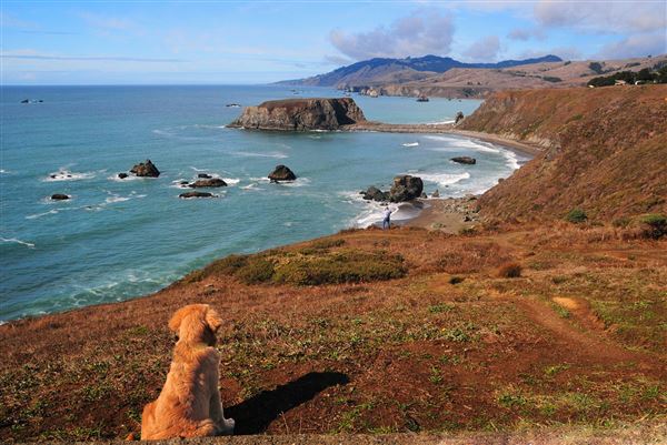 Sonoma Coast State Park (SP) - Blind Beach - Sonoma Coast State Park (4/24/2025 - Credits: Al Mueller)