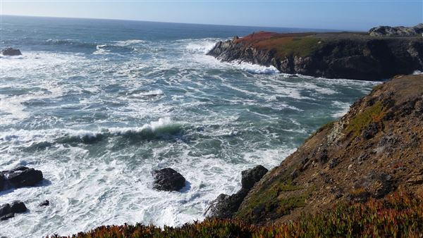 Sonoma Coast State Park (SP) - Duncans Landing - Sonoma Coast State Park (4/24/2025 - Credits: Photo Courtesy of Sonoma County)
