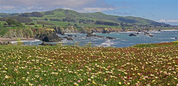 Sonoma Coast State Park (SP) - Duncans Landing - Sonoma Coast State Park (4/24/2025 - Credits: Photo Courtesy of Sonoma County)