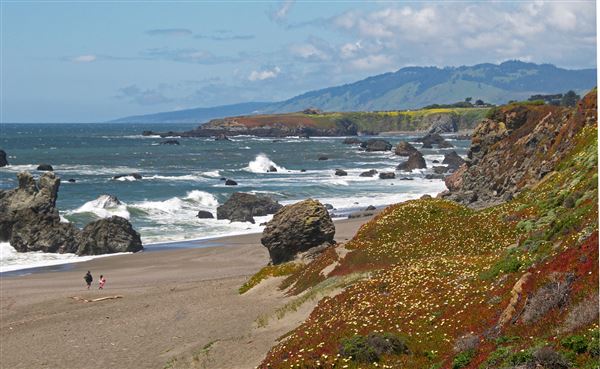 Sonoma Coast State Park (SP) - Portuguese Beach - Sonoma Coast State Park (4/24/2025 - Credits: Al Mueller)