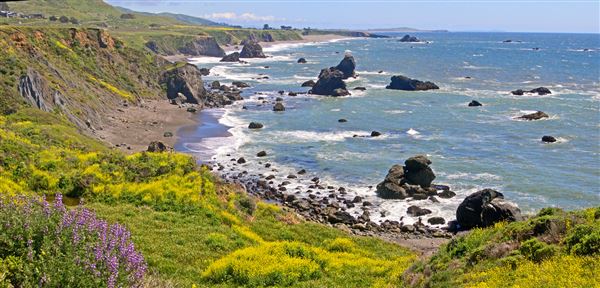 Sonoma Coast State Park (SP) - Shell Beach - Sonoma Coast State Park (4/24/2025 - Credits: Al Mueller)