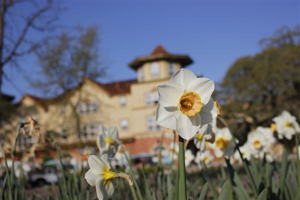 Windsor (4/25/2025 - Credits: Photo Courtesy of Sonoma County)