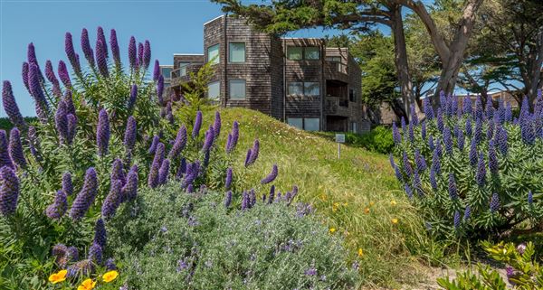 Parajo Dunes Resort Monterey Bay (5/5/2025 - Credits: Pajaro Dunes Resort)