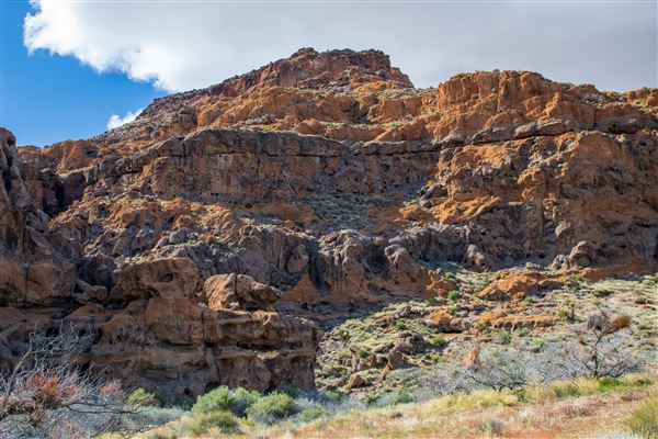 Mojave Narrows Regional Park (5/20/2025 - Credits: County of San Bernardino)