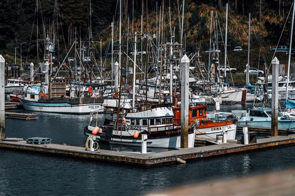 Noyo Harbor District (6/13/2025 - Credits: Photo Courtesy of Noyo Harbor District)