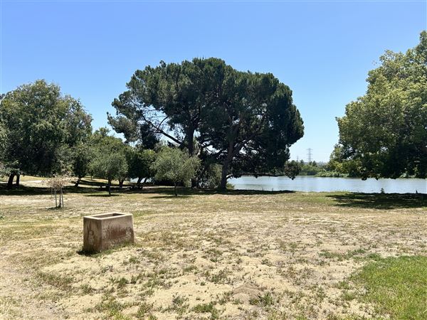 Whittier Narrows Recreation Area / LA County Parks - US Army Corps of Engineers - Legg Lake (6/17/2025 - Credits: Brandy Davis)