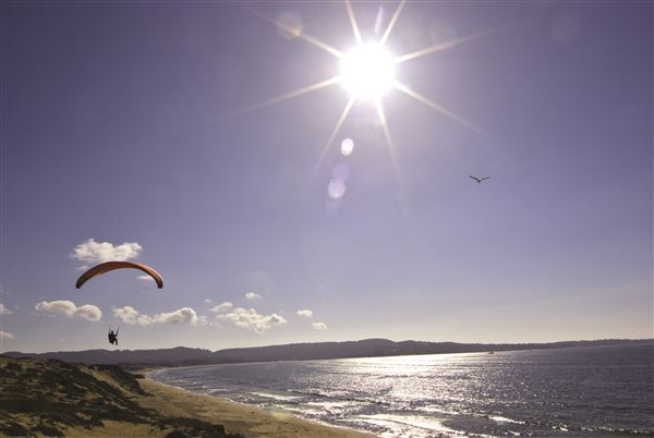 Sand City Beach / Eolian Dunes Preserve (6/18/2025 - Credits: SeeMonterey.com)