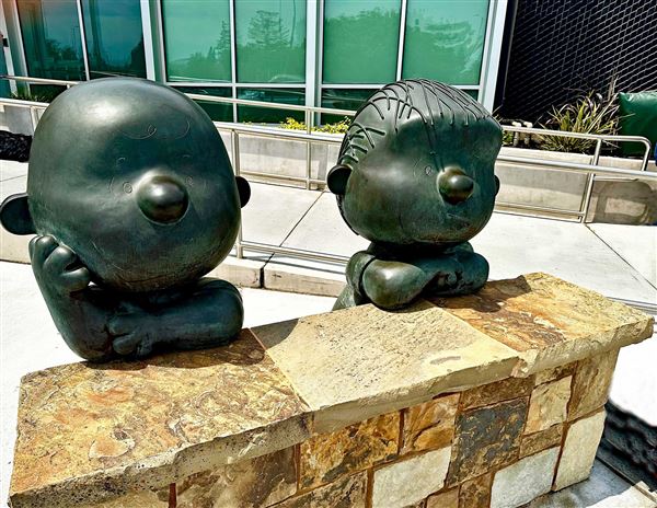 Charles M. Schulz Sonoma County Airport - Arrival Area (6/30/2025 - Credits: Photo Courtesy of Sonoma County)