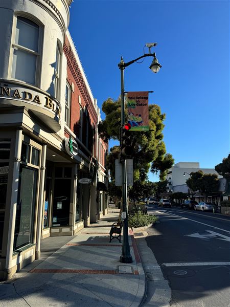 Los Gatos - Downtown (7/8/2025 - Credits: Town of Los Gatos)