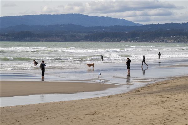 New Brighton State Beach (SB) (3/19/2024 - Credits: Brian Baer)