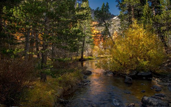 Bishop - Bishop Creek (7/25/2025 - Credits: Visit USA Parks)