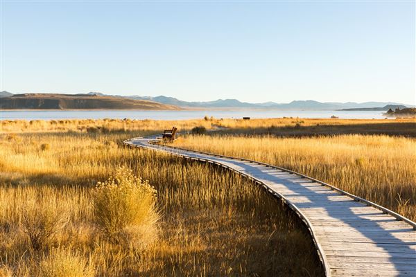 Mono Lake Tufa State Natural Reserve (SNR) / South Tufa Lake - Inyo National Forest (NF) (7/25/2025 - Credits: Visit USA Parks)