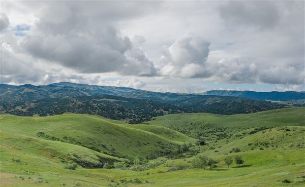 Fort Ord National Monument (6/16/2023 - Credits: Jesse Pluim, BLM, Public Domain)