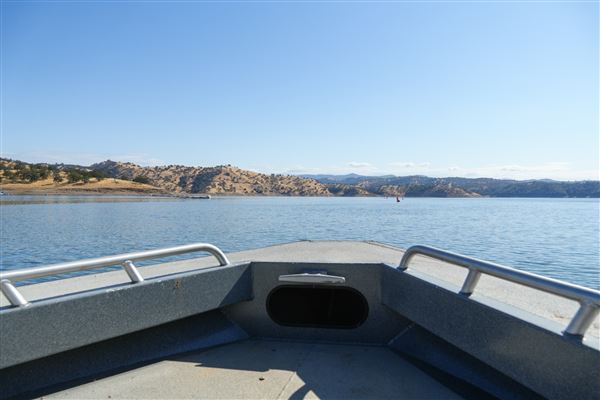 New Melones Reservoir and Stevnot Bridge (7/28/2025 - Credits: U.S. Bureau of Reclamation)