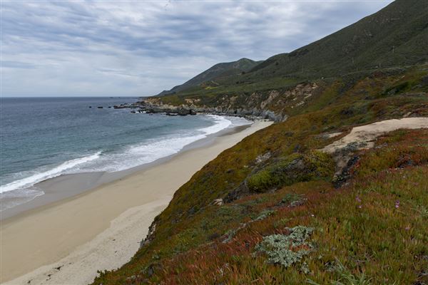 Garrapata State Park (SP) (4/5/2018 - Credits: Brian Baer)