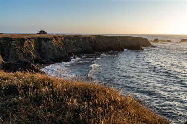 Jug Handle State Natural Reserve (SNR) (7/31/2023 - Credits: Brian Baer)