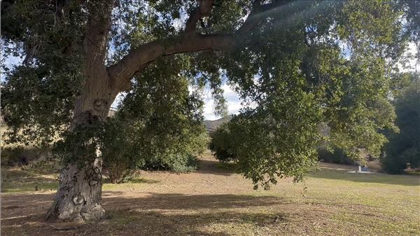Agua Dulce Horse Ranch (8/13/2025 - Credits: Lisa Fara All rights reserved, property owner photographs)
