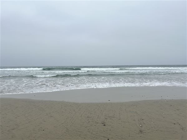 Venice Beach, Boardwalk, Pier & Recreation Center (8/14/2025 - Credits: Brandy Davis)