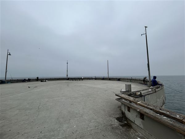 Venice Beach, Boardwalk, Pier & Recreation Center (8/14/2025 - Credits: Brandy Davis)
