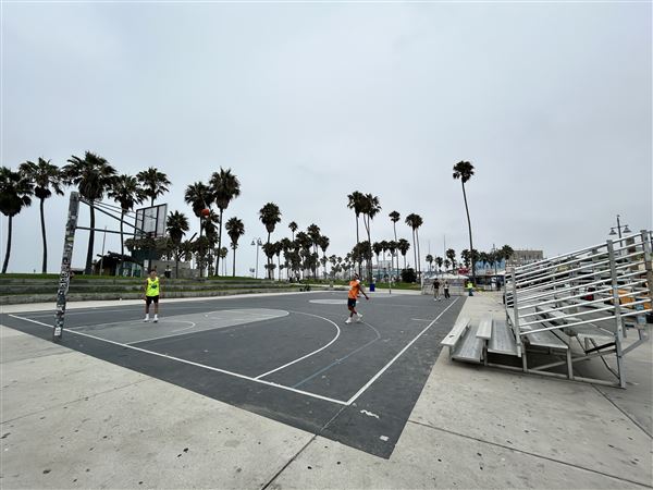 Venice Beach, Boardwalk, Pier & Recreation Center (8/14/2025 - Credits: Brandy Davis)