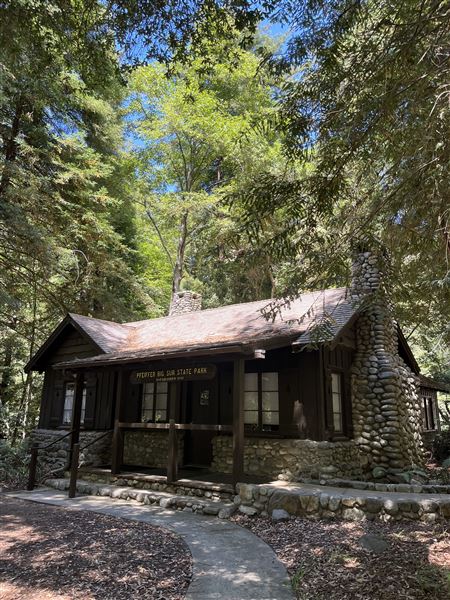 Pfeiffer Big Sur State Park (SP) (8/17/2025 - Credits: Melody Hildreth)