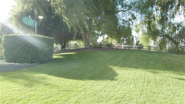 Pacific Palms Resort - Wedding Lawn (10/12/2018 - Credits: Leo Fialho)