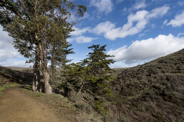Harmony Headlands State Park (SP) (11/28/2016 - Credits: Brian Baer)