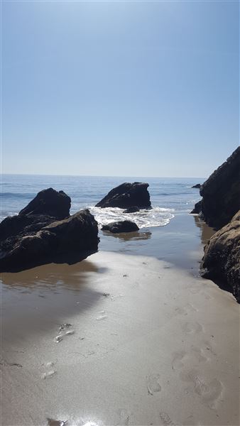 Gaviota State Park (SP) (8/26/2025 - Credits: Jennifer Jackson)