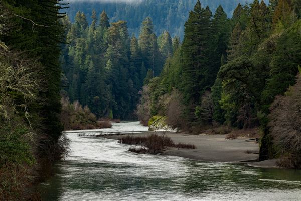 John B. Dewitt Redwoods State National Reserve (SNR) (2/13/2024 - Credits: Brian Baer)